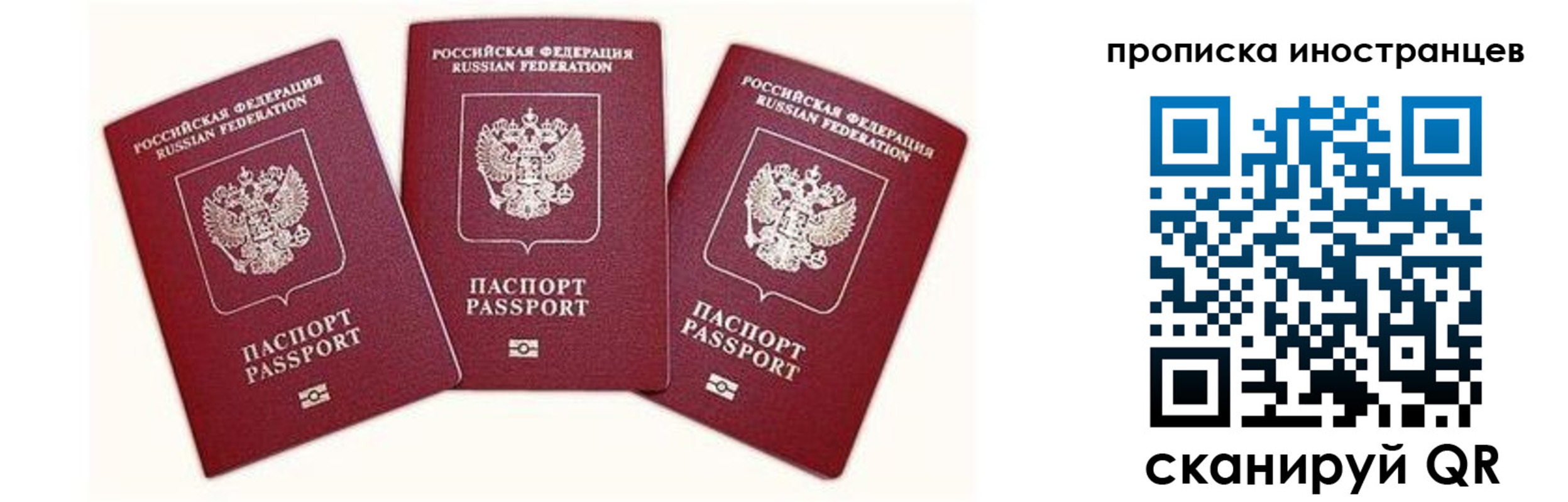 прописка в Сегеже